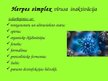Презентация 'Herpes simplex vīruss', 6.