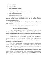 Реферат 'Pārdošanas veicināšanas pasākumu piedāvājums uzņēmumam SIA "Caramel"', 18.