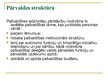 Презентация 'Jūrmalas izglītības sistēmas analīze', 8.