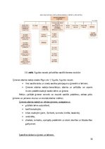 Реферат 'Sociālās palīdzībs organizatora profesionālā darbība un izaugsme', 18.