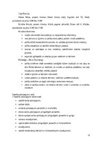 Реферат 'Sociālās palīdzībs organizatora profesionālā darbība un izaugsme', 19.