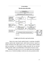 Реферат 'Sociālās palīdzībs organizatora profesionālā darbība un izaugsme', 21.