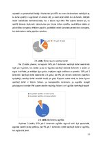 Реферат 'Sociālās palīdzībs organizatora profesionālā darbība un izaugsme', 23.