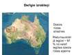 Презентация 'Austrālijas dabas resursi', 10.