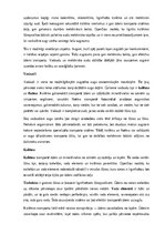Конспект 'Augu audu veidi un funkcijas', 10.