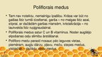 Презентация 'Poliflorais medus', 2.