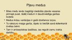 Презентация 'Poliflorais medus', 6.