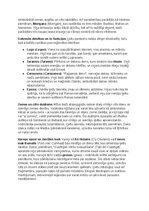 Конспект 'Ķeltu civilizācija: vēsture, reliģija, druīdi, kultūra un mantojums', 6.