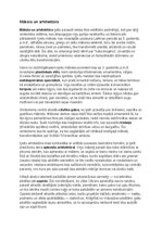 Конспект 'Ķeltu civilizācija: vēsture, reliģija, druīdi, kultūra un mantojums', 7.