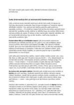 Конспект 'Ķeltu civilizācija: vēsture, reliģija, druīdi, kultūra un mantojums', 16.