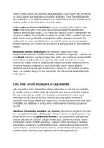 Конспект 'Ķeltu civilizācija: vēsture, reliģija, druīdi, kultūra un mantojums', 22.