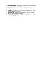 Конспект 'Ķeltu civilizācija: vēsture, reliģija, druīdi, kultūra un mantojums', 35.