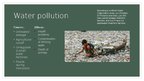 Презентация 'Environmental Problems in India', 2.