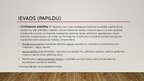 Презентация 'Civiltiesiskās atbildības modeļi', 4.