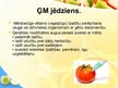Презентация 'Ģenētiski modificētie produkti', 3.