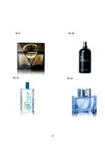 Реферат 'Patērētāju attieksme pret "The Body Shop" smaržu iepakojumu', 32.
