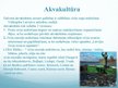 Презентация 'Zivsaimniecība Latvijā', 16.