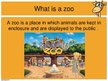 Презентация 'Keeping Wild Animals in Zoos', 2.