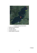 Реферат 'Rekreācijas objektu ietekme uz Nirzas ezera ekosistēmu', 25.