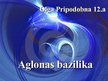 Презентация 'Aglonas bazilika', 1.