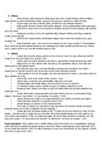 Конспект 'Rainis “Jāzeps un viņa brāļi” konspekts + pamatojumi ar citātiem', 3.