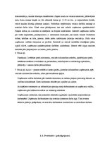 Отчёт по практике 'Mazumtirdzniecības organizēšana SIA "Zemniecība"', 8.
