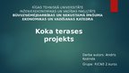 Реферат 'Koka terases projekts', 23.