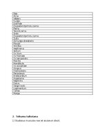 Конспект 'Treniņa lapa, lai sagatavotos latīņu valodas pārbaudas darbam', 2.