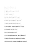 Конспект 'Treniņa lapa, lai sagatavotos latīņu valodas pārbaudas darbam', 3.