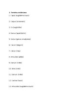 Конспект 'Treniņa lapa, lai sagatavotos latīņu valodas pārbaudas darbam', 4.