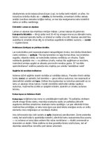 Конспект 'Inku vēsture, kultūra, mitoloģija, sabiedrība un kultūras mantojums: konspekts, ', 13.