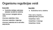 Презентация 'Kā notiek organisma darbības regulācija', 4.