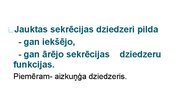 Презентация 'Kā notiek organisma darbības regulācija', 10.