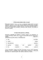 Реферат 'Kiberdrošība Latvijā un Eiropas Savienībā: draudi, risinājumi un attīstības pers', 6.