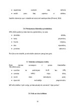 Реферат 'Kiberdrošība Latvijā un Eiropas Savienībā: draudi, risinājumi un attīstības pers', 17.