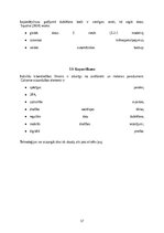 Реферат 'Kiberdrošība Latvijā un Eiropas Savienībā: draudi, risinājumi un attīstības pers', 18.