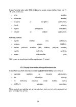 Реферат 'Kiberdrošība Latvijā un Eiropas Savienībā: draudi, risinājumi un attīstības pers', 25.