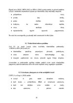 Реферат 'Kiberdrošība Latvijā un Eiropas Savienībā: draudi, risinājumi un attīstības pers', 29.