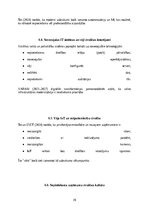 Реферат 'Kiberdrošība Latvijā un Eiropas Savienībā: draudi, risinājumi un attīstības pers', 30.