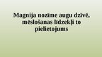 Презентация 'Magnija nozīme augu dzīvē, mēslošanas līdzekļi to pielietojums', 1.