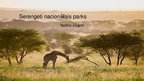Презентация 'Serengeti Nacionālais parks', 1.