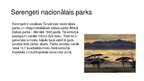 Презентация 'Serengeti Nacionālais parks', 2.