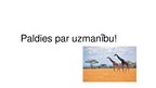 Презентация 'Serengeti Nacionālais parks', 10.