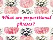 Презентация 'Prepositions', 16.