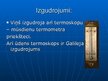 Презентация 'Renesanses pārstāvji zinātnes jomā - Galileo Galilejs un Nikolajs Koperniks', 9.