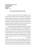 Реферат 'Protection of Human Rights in the European Union / Cilvēktiesību aizsardzība Eir', 1.