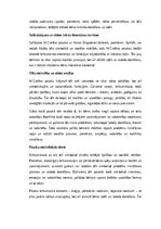 Эссе 'M.Cielēna ‘Pasakas par brīnummazajiem’: tēlu simbolika, sižeta struktūra un peda', 2.