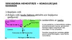 Презентация 'Hemostāzes traucējumi intensīvajā terapijā un anestezioloģijā. Koagulācijas sist', 4.