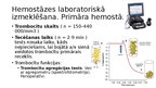 Презентация 'Hemostāzes traucējumi intensīvajā terapijā un anestezioloģijā. Koagulācijas sist', 7.