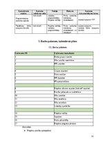 Реферат 'Programmatūras projekta pārvaldības plāns (PPPP)', 14.